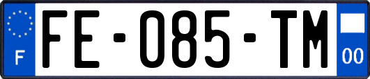 FE-085-TM
