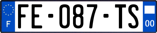 FE-087-TS