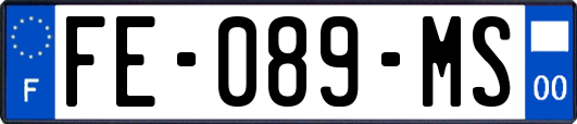 FE-089-MS