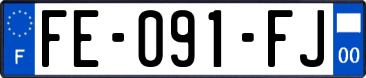 FE-091-FJ