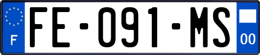 FE-091-MS