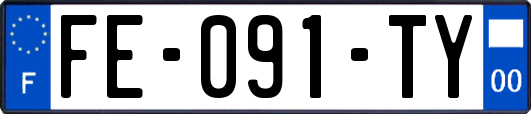 FE-091-TY