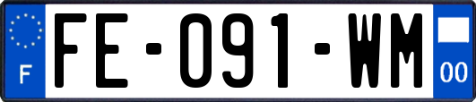 FE-091-WM