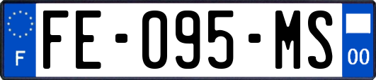FE-095-MS