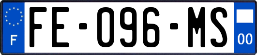 FE-096-MS