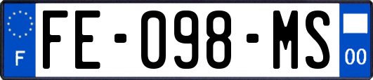 FE-098-MS
