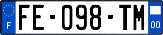 FE-098-TM