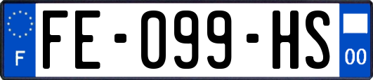 FE-099-HS