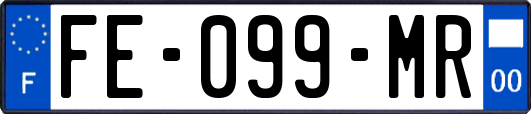FE-099-MR