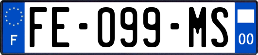 FE-099-MS