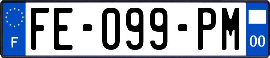 FE-099-PM
