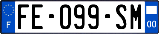FE-099-SM