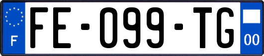 FE-099-TG