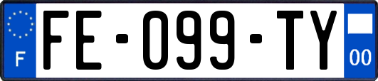 FE-099-TY