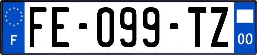 FE-099-TZ