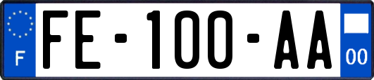 FE-100-AA