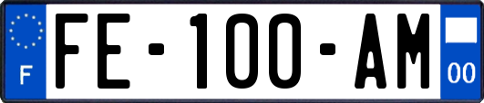 FE-100-AM