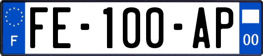 FE-100-AP