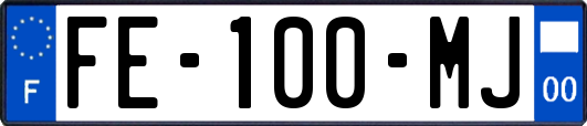 FE-100-MJ