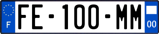 FE-100-MM