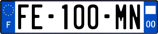 FE-100-MN