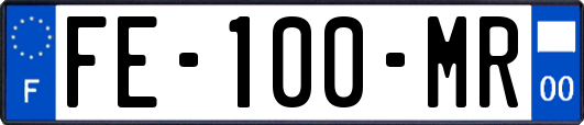 FE-100-MR