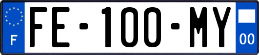 FE-100-MY