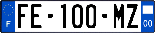 FE-100-MZ