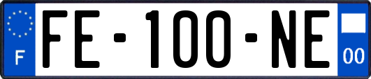 FE-100-NE