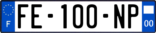 FE-100-NP