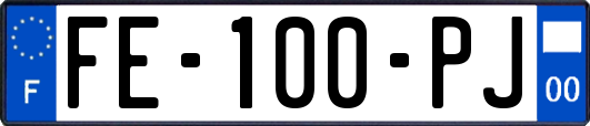 FE-100-PJ