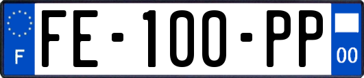 FE-100-PP