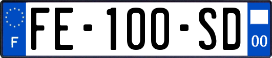 FE-100-SD
