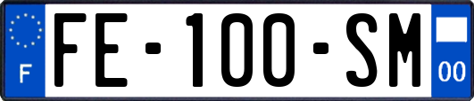 FE-100-SM