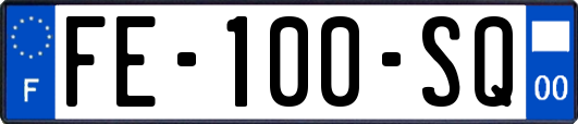 FE-100-SQ