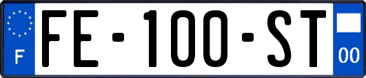 FE-100-ST