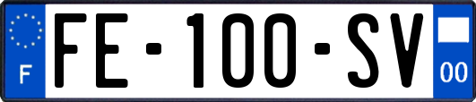 FE-100-SV