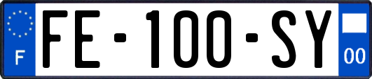 FE-100-SY