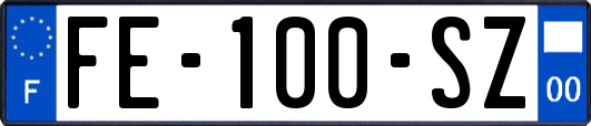 FE-100-SZ