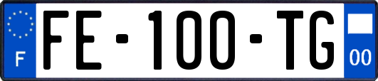 FE-100-TG