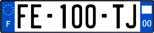 FE-100-TJ