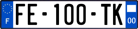 FE-100-TK