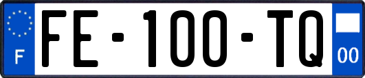 FE-100-TQ