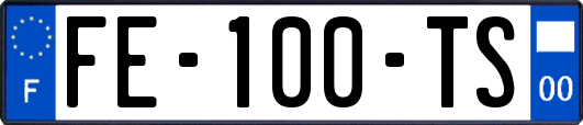 FE-100-TS