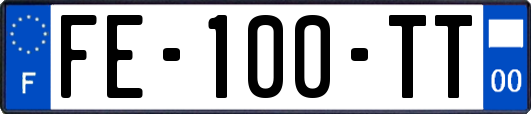 FE-100-TT
