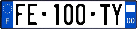 FE-100-TY