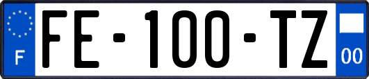 FE-100-TZ