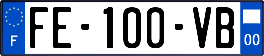 FE-100-VB