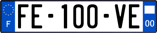 FE-100-VE