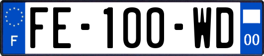 FE-100-WD